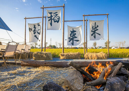 稻田