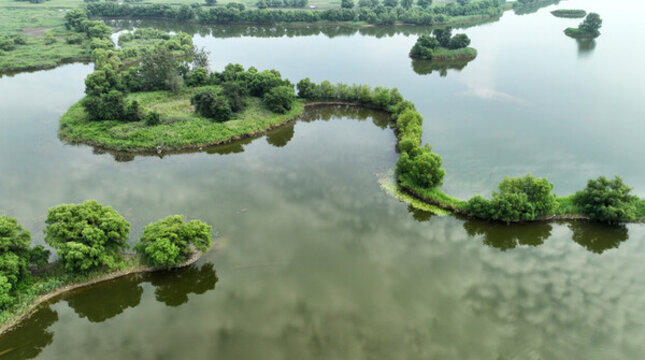 遼河濕地