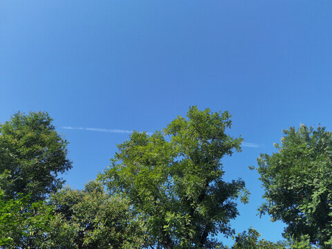 湛藍(lán)的天空