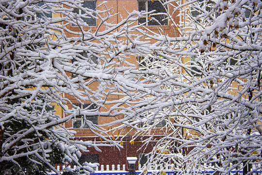 雪景