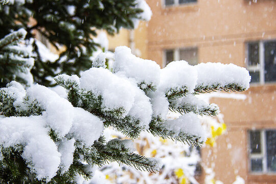 雪景