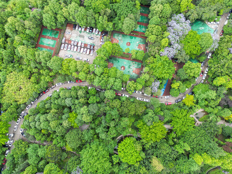 俯視城市中的公園