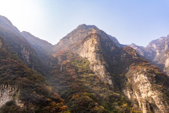 秋季登山賞紅葉看滿山紅葉美景