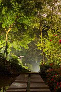 公園夜景