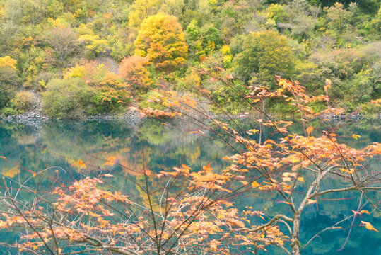 疊溪松坪溝墨海秋天彩林紅葉