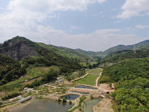 青山綠水