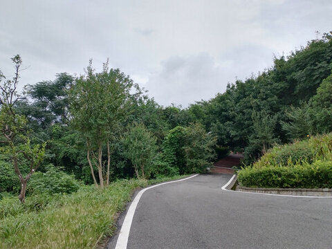 公園中的寬闊步道