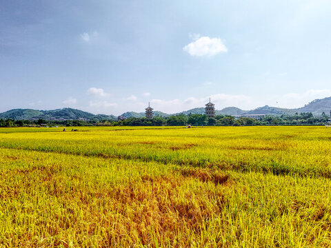 雙塔田園風(fēng)光