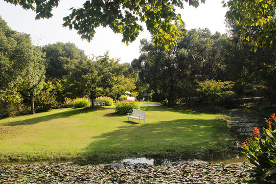 公園庭院