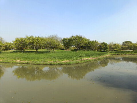 生態(tài)園小河