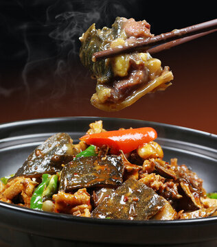 甲魚燜土雞