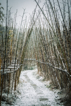 大雪路