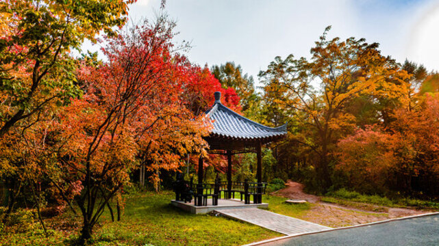 秋季的中國長春南湖公園紅葉