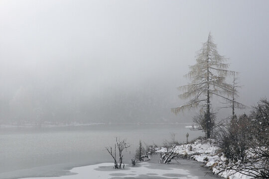 雪景