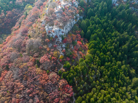 濟南蚰蜒山秋色