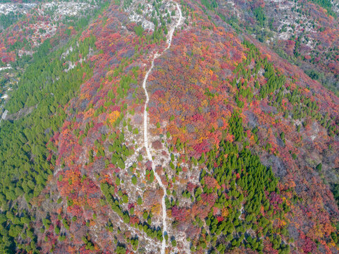 濟(jì)南蚰蜒山秋色