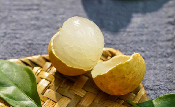 桂圓