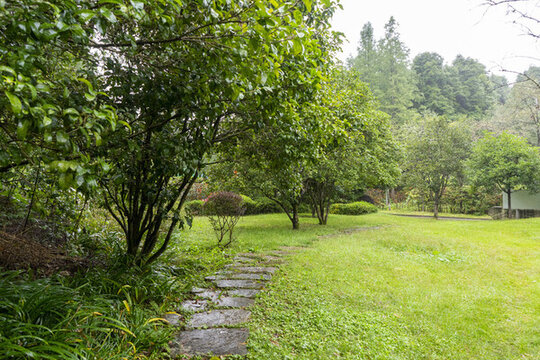 草坪間的石板路