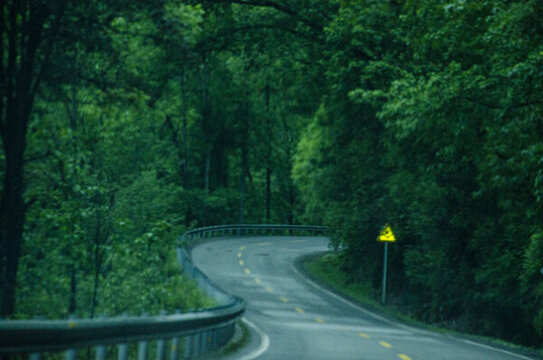 曲徑通幽的林蔭公路