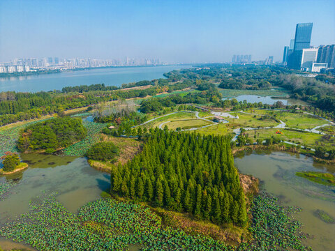 艾溪湖森林濕地公園