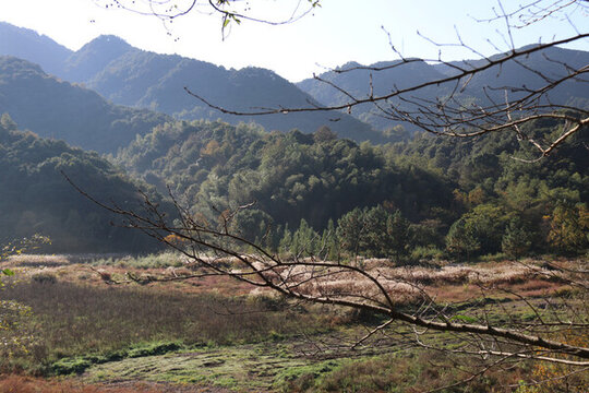 鄉(xiāng)野