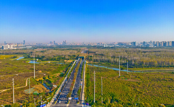 合肥駱崗中央公園