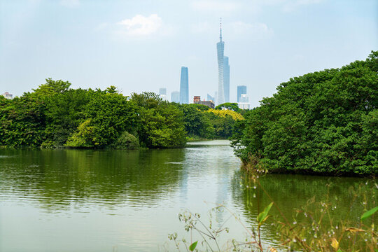廣州海珠湖濕地公園和城市天際線