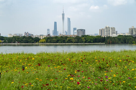 海珠湖濕地公園草地和城市天際線
