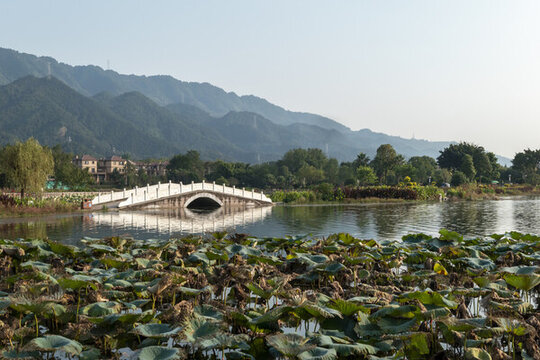 重慶大足龍水湖濕地公園