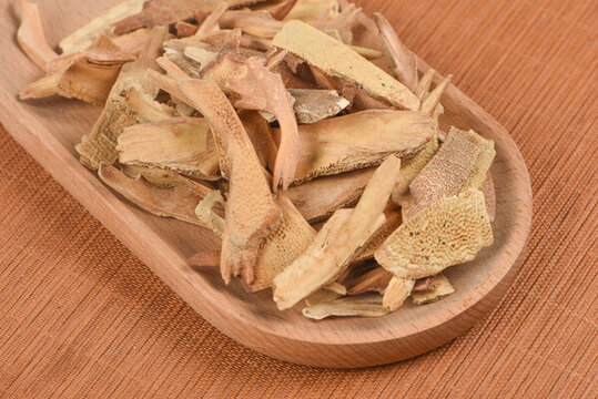鱉甲