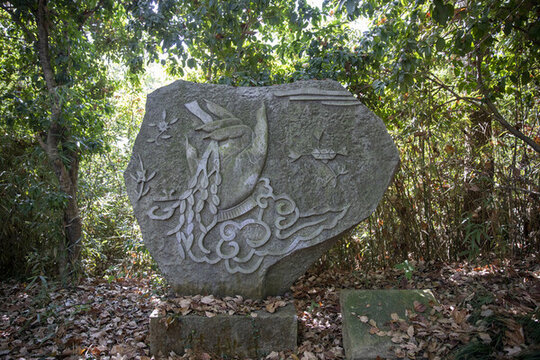 蒲桃手