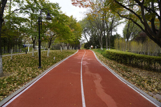 城陽(yáng)奧林匹克公園世紀(jì)公園健身路