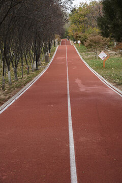 城陽奧林匹克公園世紀公園健身路