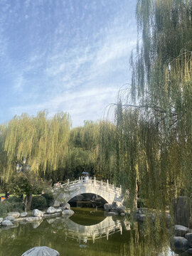柳樹旅游風(fēng)景小橋流水