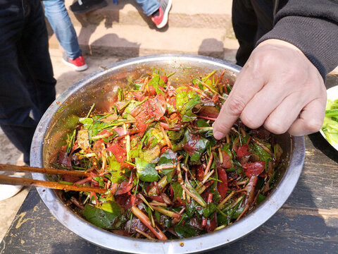 涼拌魚腥草折耳根
