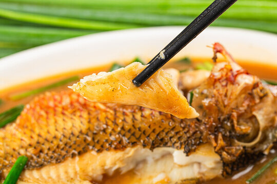 羅非魚