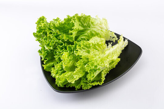 大份的時蔬生菜食材