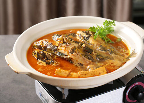 黃臘丁燉豆腐