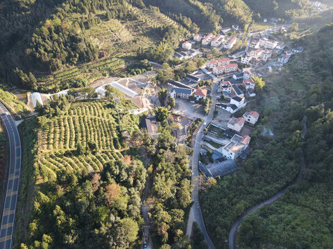 樟溪村農(nóng)村公路圖