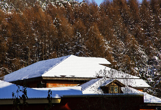 屋頂上的雪