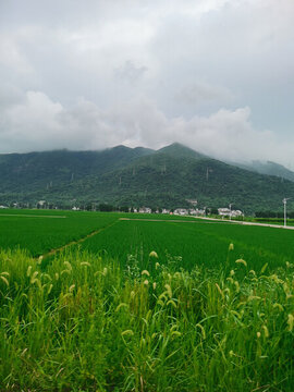 鄉(xiāng)村美景