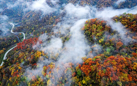 陜西秦嶺秋色秋景