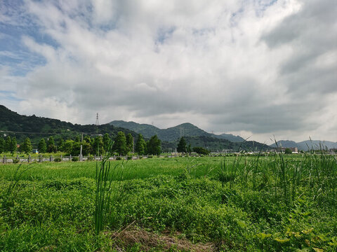 風(fēng)景