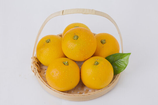 麻陽(yáng)冰糖橙