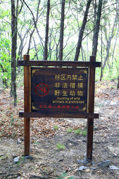 禁止捕獵標(biāo)志牌