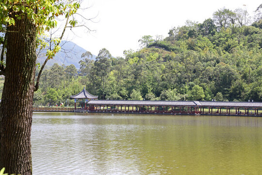 湖畔風景