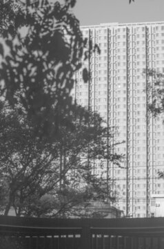 城市高樓
