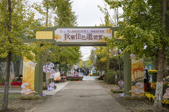 碧云花園菊花展