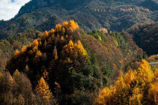 神農(nóng)架秋天風(fēng)景