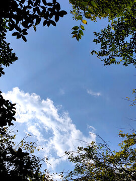 藍(lán)天白云仰望天空